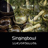 鎌倉キャンプ＿オプション＿シンギングボウル