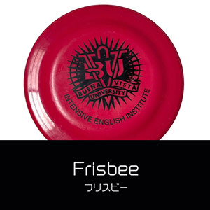 鎌倉キャンプ＿オプション＿フリスビー